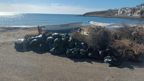 Limpieza de playas de Antigua / CanariasNoticias.es 