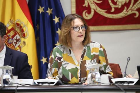 Candelaria Delgado, consejera de Bienestar Social / CanariasNoticias.es 