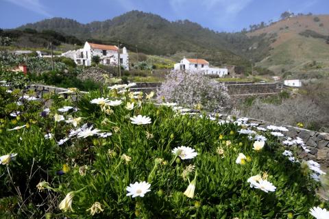 Tiñor (El Hierro) / CanariasNoticias.es 