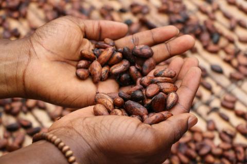 / Etty Fidele (Unsplash) Cacao