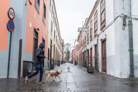 La Laguna / CanariasNoticias.es La Laguna / CanariasNoticias.es