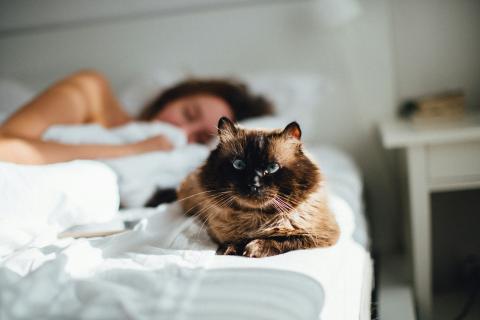 / Adam Kuylenstierna (Unsplash) Mujer durmiendo con un gato