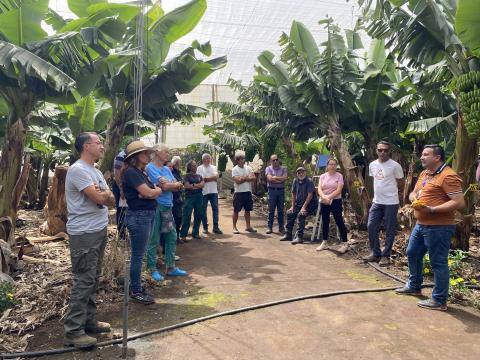 Cultivo de cacao en El Hierro / CanariasNoticias.es 