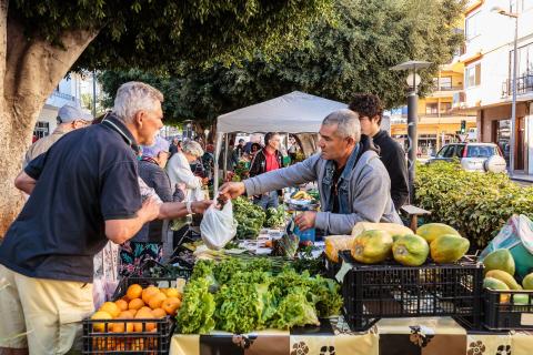 Mercadillo del Agricultor / CanariasNoticias.es Mercadillo del Agricultor / CanariasNoticias.es