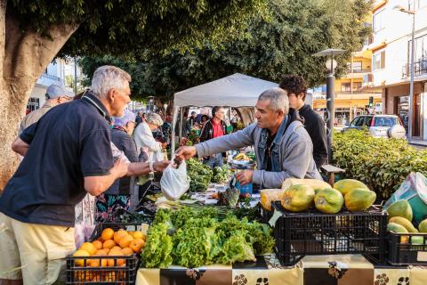 Mercadillo del Agricultor / CanariasNoticias.es 