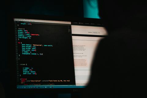 / M Baumeister (Unsplash)