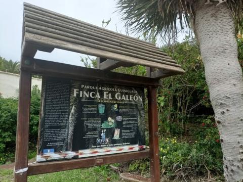 Finca El Galeón / CanariasNoticias.es Finca El Galeón / CanariasNoticias.es