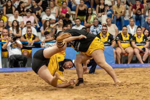 Luchada Institucional por el Día de Canarias / CanariasNoticias.es 