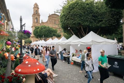 Feria de Cooperativas Escolares de Gáldar