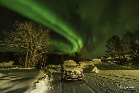 Aurora Boreal