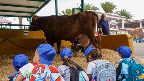 Feria Escolar del Sector Primario