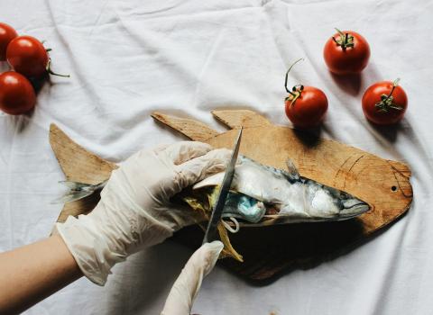 Imagen ilustrativa / innay (Unsplash) Pescado contaminado