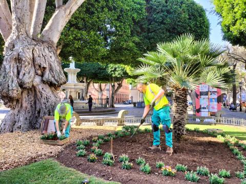 Parque de La Laguna / CanariasNoticias.es 