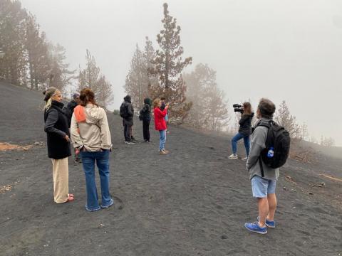 Festivalito La Palma/ canariasnoticias.es