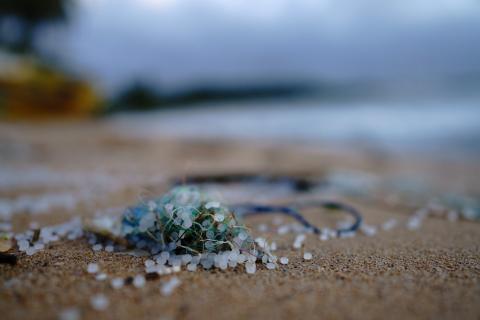 Microplásticos en playa