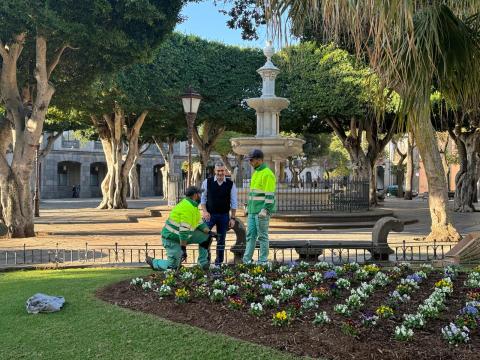 Bosque Urbano. La Laguna/ canariasnoticias.es Bosque Urbano. La Laguna/ canariasnoticias.es