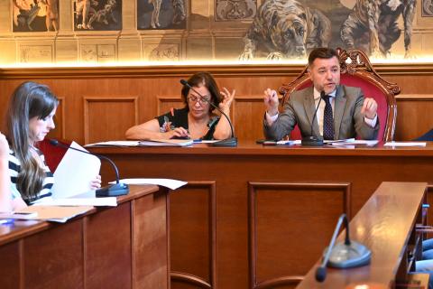 Pleno del Ayuntamiento de Gáldar / CanariasNoticias.es