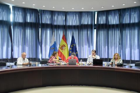 Comisión de Economía Social de Canarias Comisión de Economía Social de Canarias