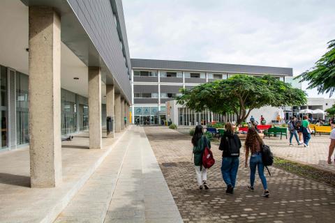 Estudiantes ULPGC / CanariasNoticias.es Estudiantes ULPGC / CanariasNoticias.es