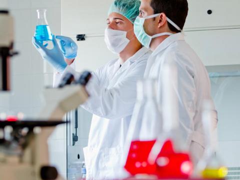 Investigadores ULPGC / CanariasNoticias.es Investigadores ULPGC / CanariasNoticias.es