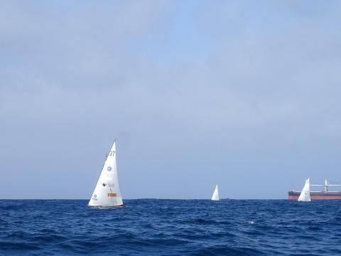 Vela Latina Canaria / CanariasNoticias.es Vela Latina Canaria / CanariasNoticias.es