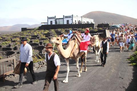 Vendimia tradicional en La Geria. Lanzarote/ canariasnoticias.es Vendimia tradicional en La Geria. Lanzarote/ canariasnoticias.es