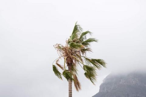 Alerta por viento en Canarias Alerta por viento en Canarias