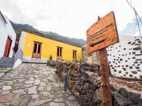 Consejo Regulador DOP Vinos de El Hierro / CanariasNoticias.es