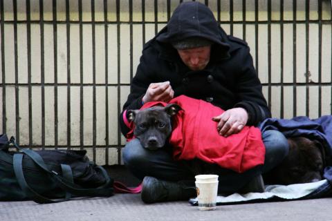 / Nick Fewings (Unsplash) Persona sin hogar y su perro