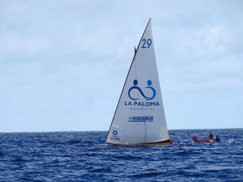 Vela Latina Canaria / CanariasNoticias.es Vela Latina Canaria / CanariasNoticias.es