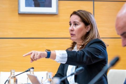 Lola García, presidenta del Cabildo de Fuerteventura / CanariasNoticias Lola García, presidenta del Cabildo de Fuerteventura / CanariasNoticias