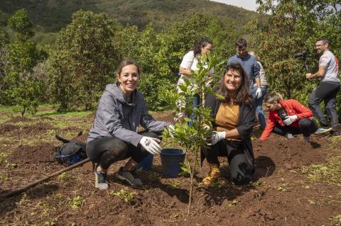 Reforestación en Teror / CanariasNoticias Reforestación en Teror / CanariasNoticias
