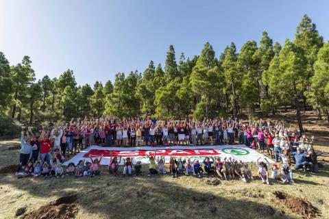 Reforestación de Spar Gran Canaria / CanariasNoticias Reforestación de Spar Gran Canaria / CanariasNoticias