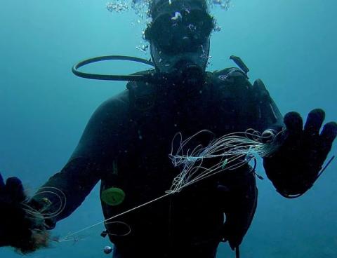 Inmersión de Fuertebuceo