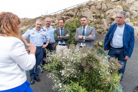 Huerto de semillas en Lanzarote 