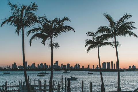 / D Kostyuchenko (Unsplash)