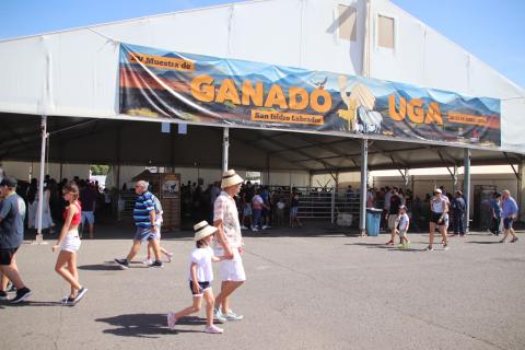 Feria de Ganado Feria de Ganado